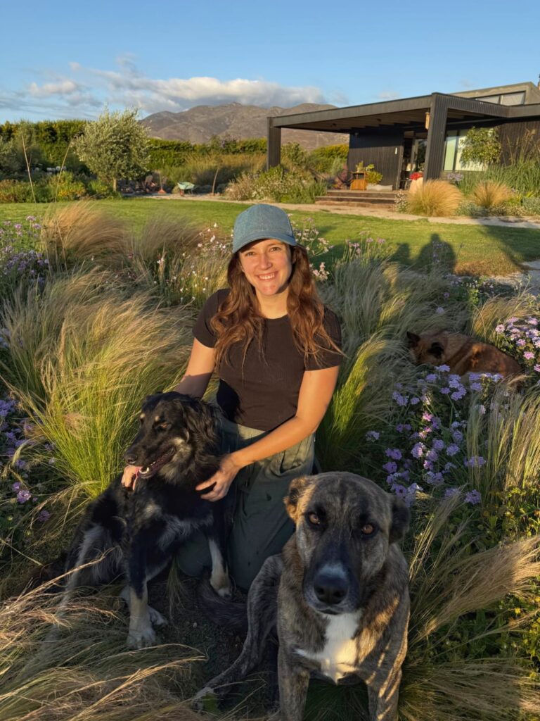 Rosita en los agapantos. Vivero en Coquimbo sector pan de azucar. Con plantas resistentes a la sequía. En Los Agapantos encontrarás especies adaptadas, diseño de jardines y asesoría personalizada ¡Ven a visitarnos!
